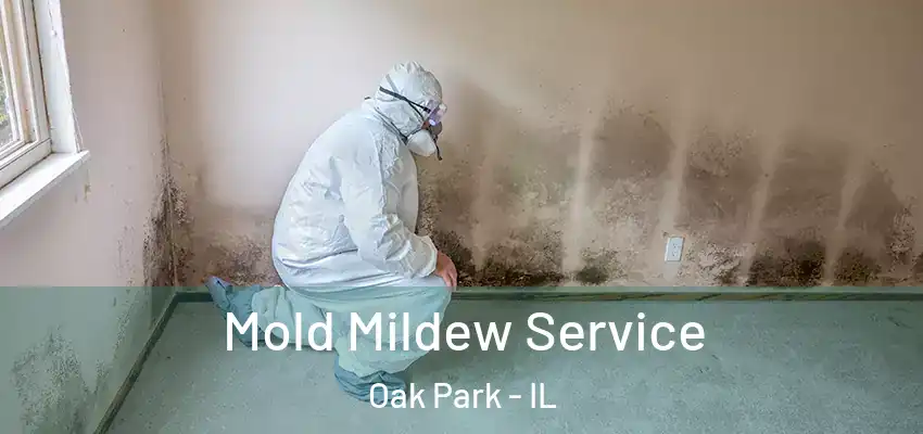  Mold Mildew Service Oak Park - IL