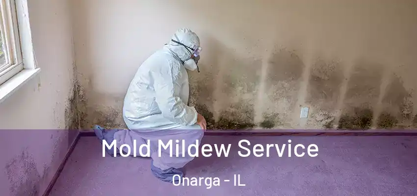  Mold Mildew Service Onarga - IL