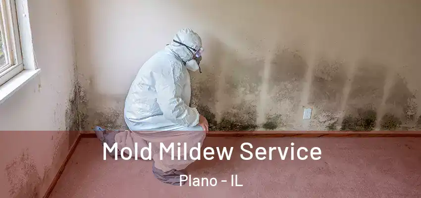  Mold Mildew Service Plano - IL
