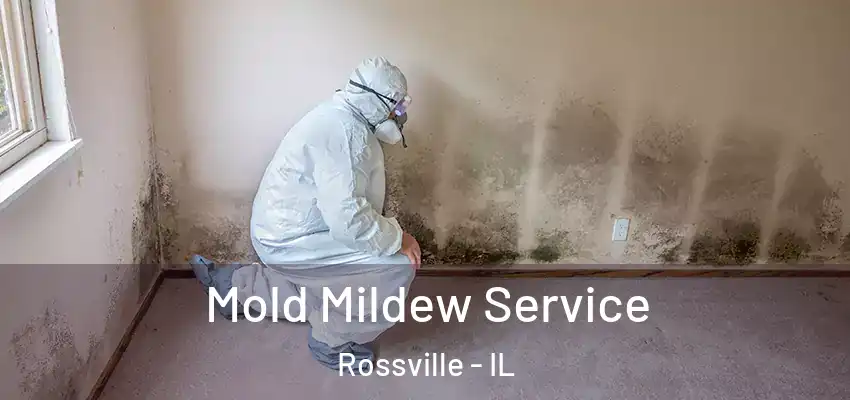  Mold Mildew Service Rossville - IL