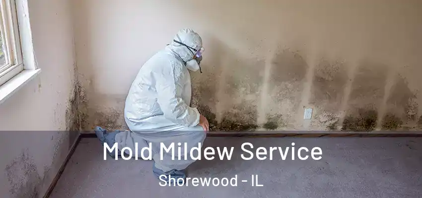  Mold Mildew Service Shorewood - IL
