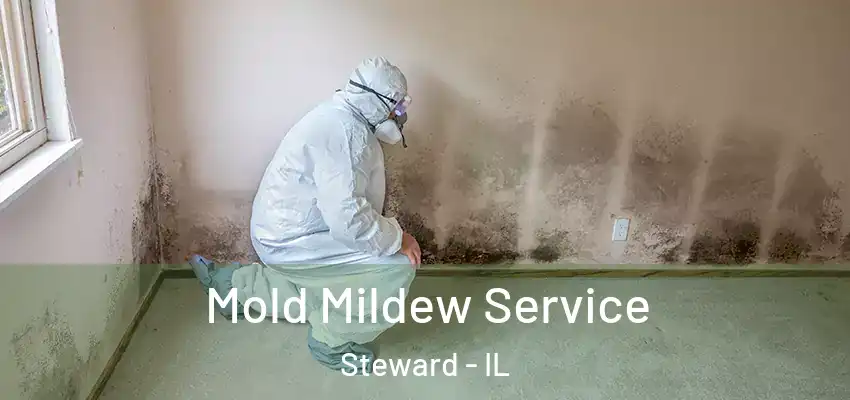  Mold Mildew Service Steward - IL