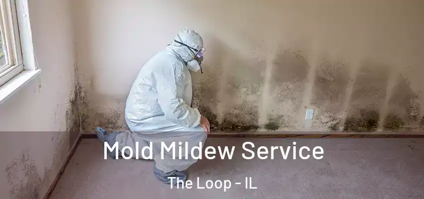  Mold Mildew Service The Loop - IL