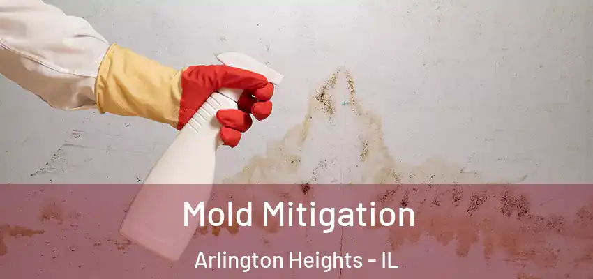  Mold Mitigation Arlington Heights - IL