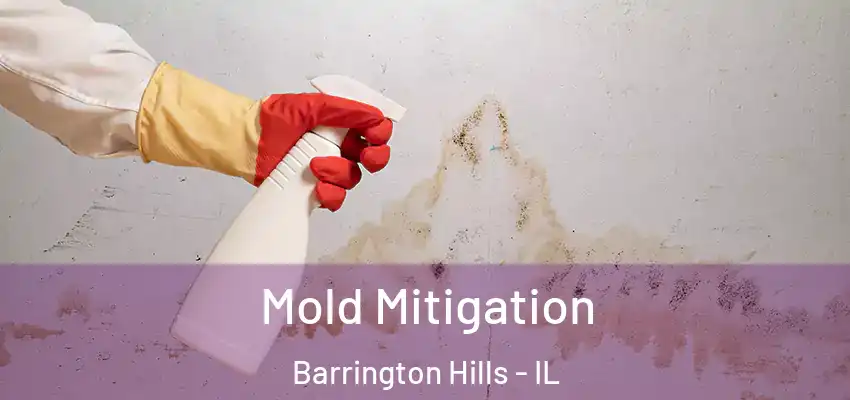  Mold Mitigation Barrington Hills - IL