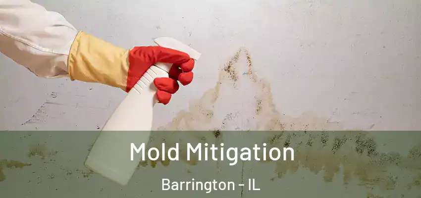  Mold Mitigation Barrington - IL