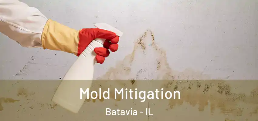  Mold Mitigation Batavia - IL