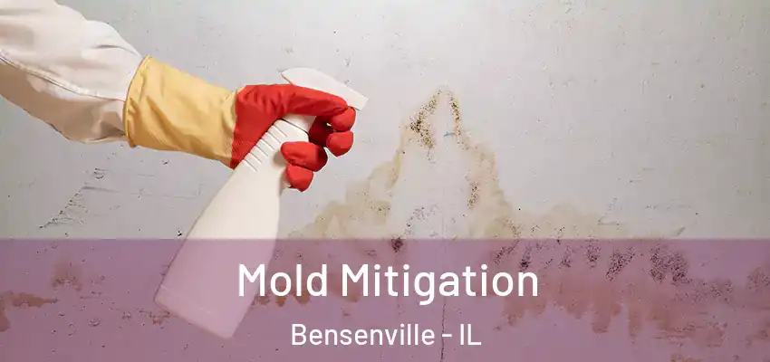  Mold Mitigation Bensenville - IL