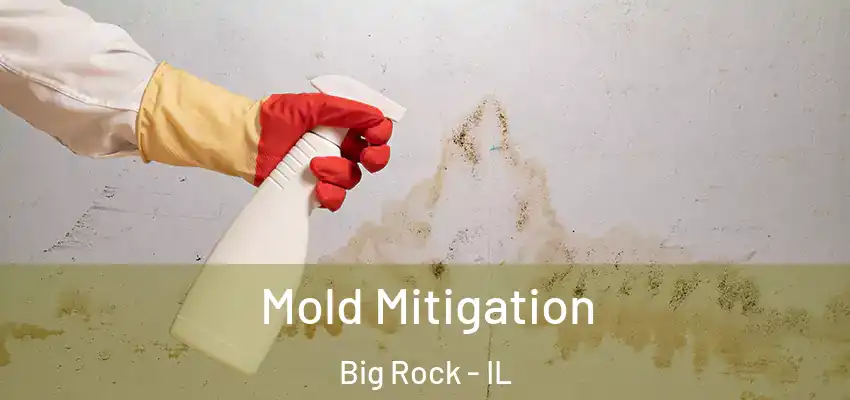  Mold Mitigation Big Rock - IL