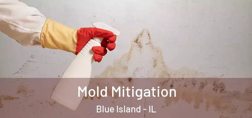  Mold Mitigation Blue Island - IL