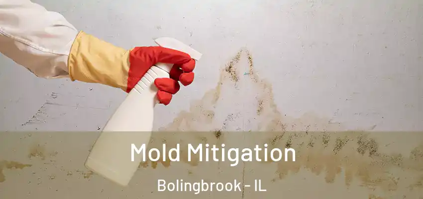  Mold Mitigation Bolingbrook - IL