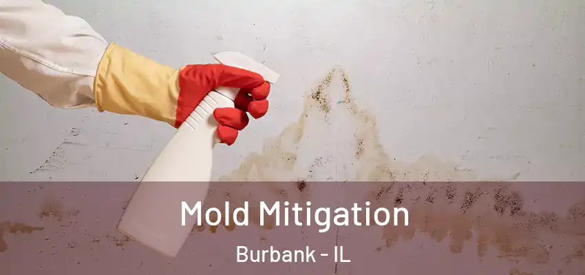  Mold Mitigation Burbank - IL