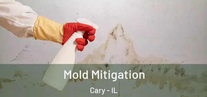  Mold Mitigation Cary - IL