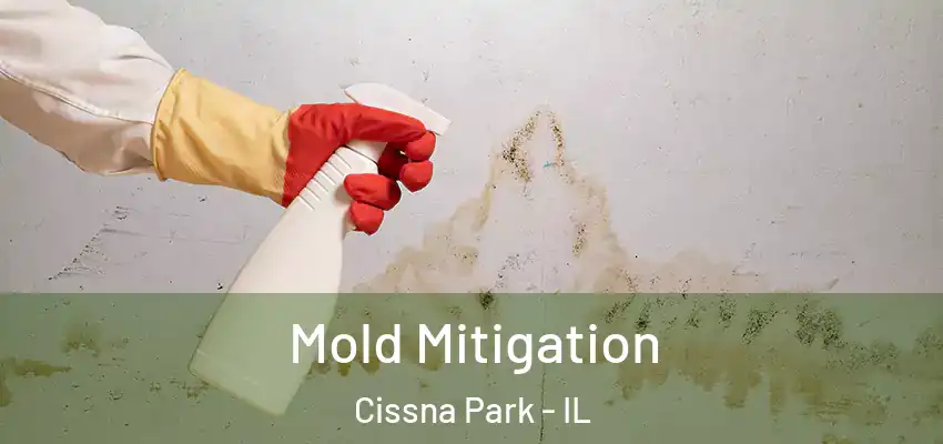  Mold Mitigation Cissna Park - IL
