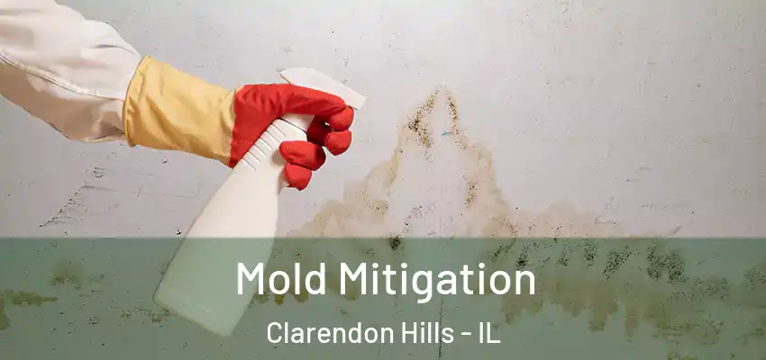  Mold Mitigation Clarendon Hills - IL