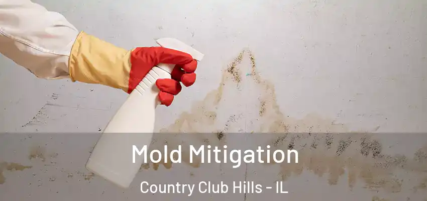 Mold Mitigation Country Club Hills - IL