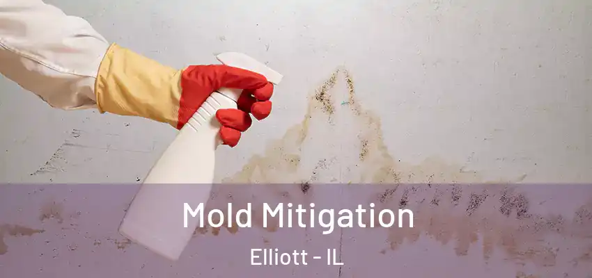  Mold Mitigation Elliott - IL