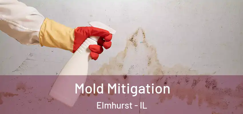  Mold Mitigation Elmhurst - IL