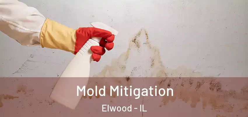  Mold Mitigation Elwood - IL