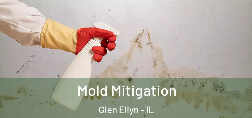  Mold Mitigation Glen Ellyn - IL