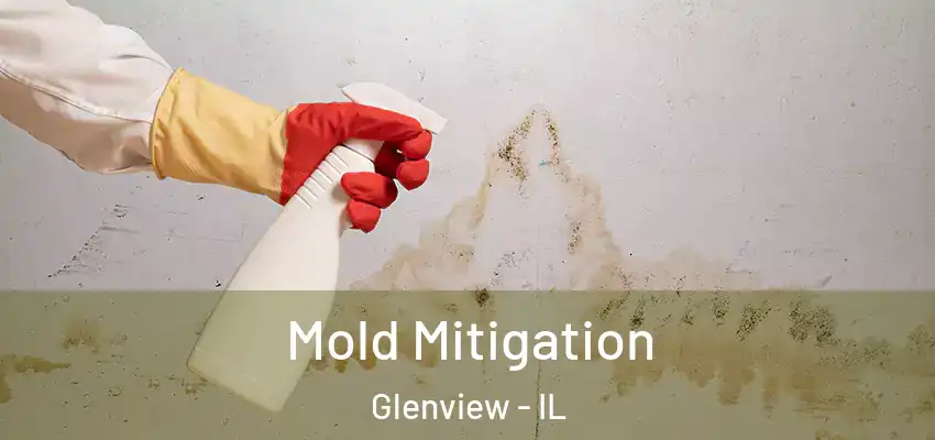  Mold Mitigation Glenview - IL