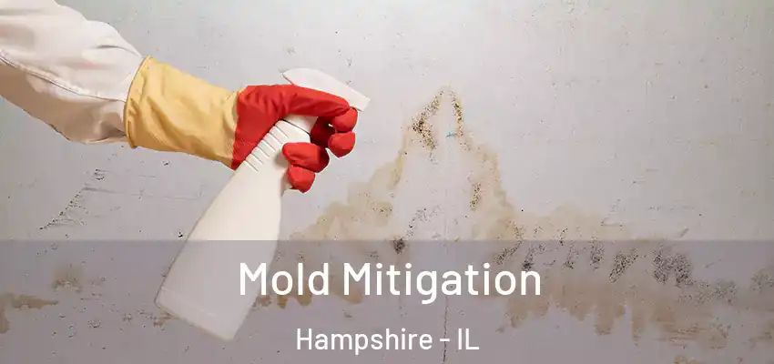  Mold Mitigation Hampshire - IL