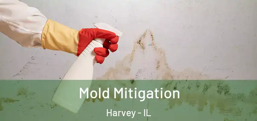  Mold Mitigation Harvey - IL