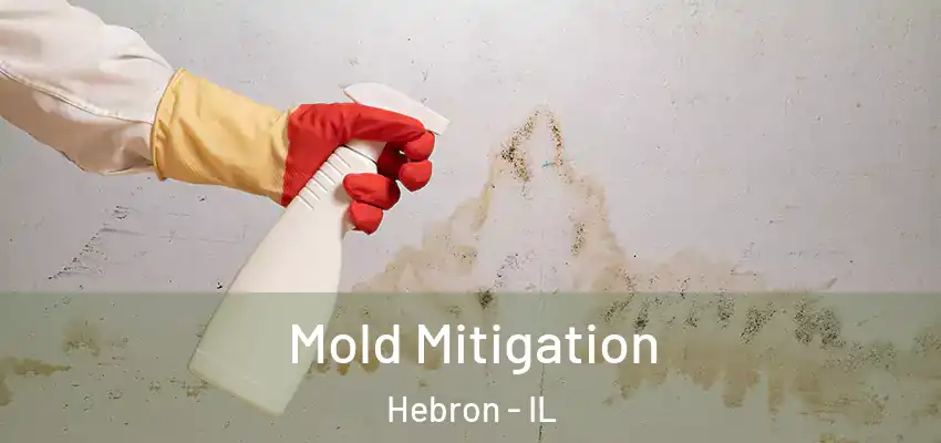 Mold Mitigation Hebron - IL