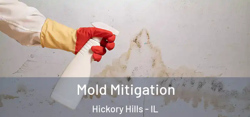  Mold Mitigation Hickory Hills - IL
