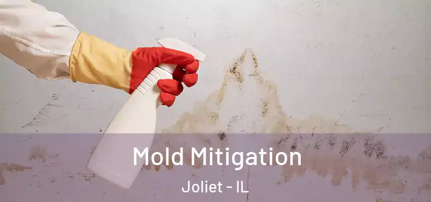  Mold Mitigation Joliet - IL