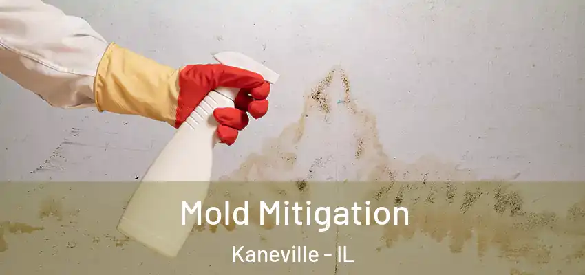  Mold Mitigation Kaneville - IL