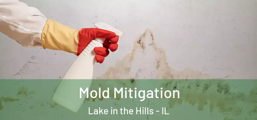 Mold Mitigation Lake in the Hills - IL