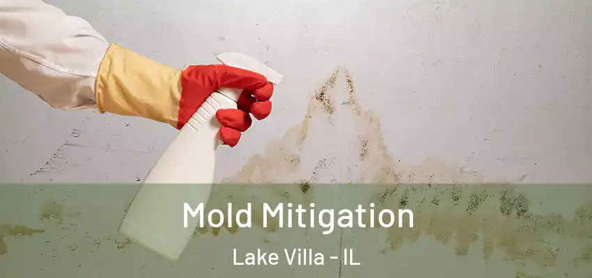  Mold Mitigation Lake Villa - IL