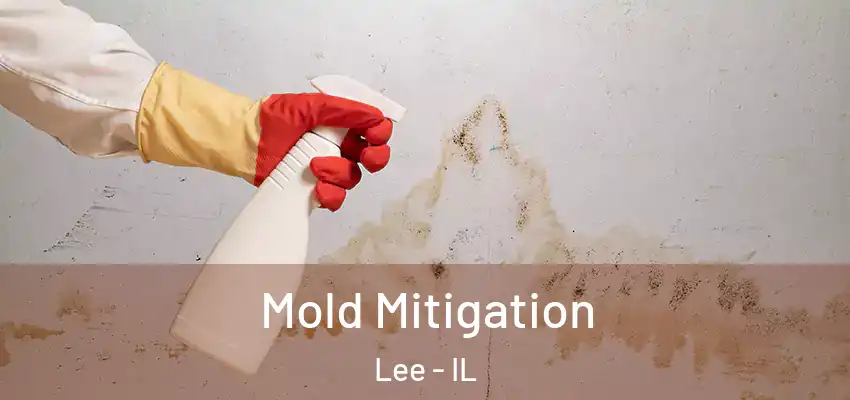 Mold Mitigation Lee - IL