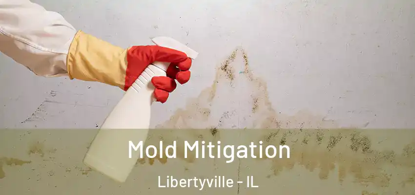  Mold Mitigation Libertyville - IL
