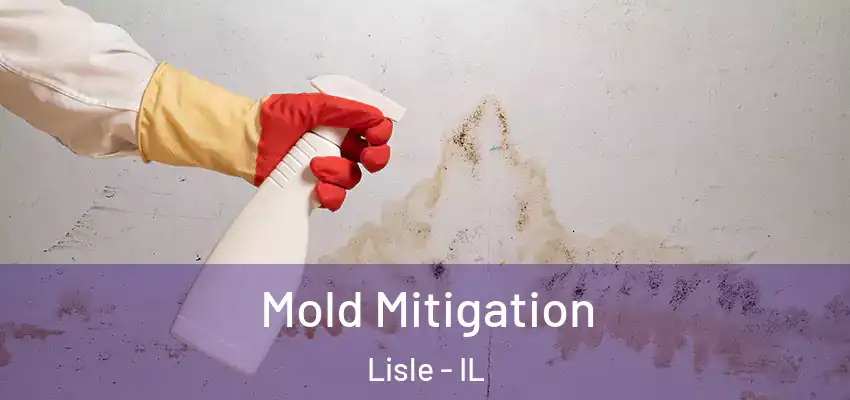  Mold Mitigation Lisle - IL