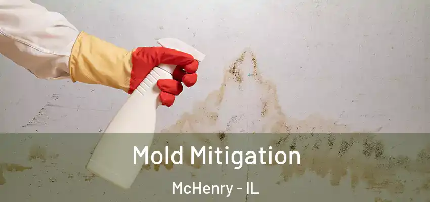  Mold Mitigation McHenry - IL
