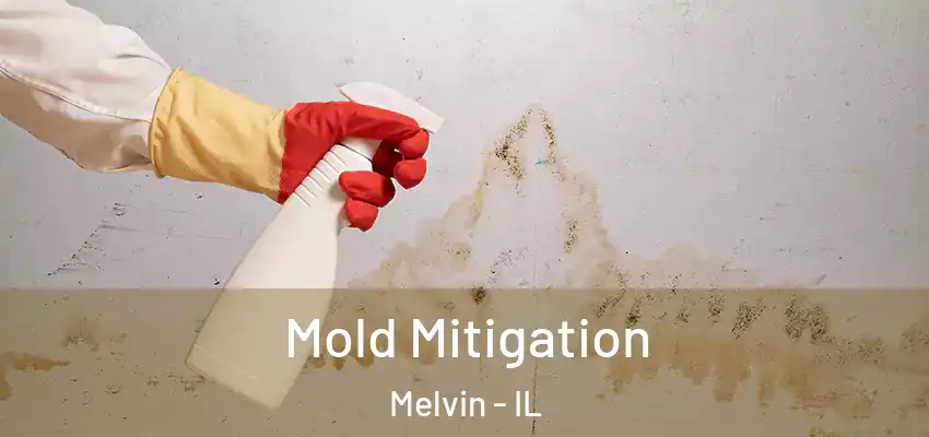  Mold Mitigation Melvin - IL