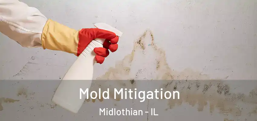  Mold Mitigation Midlothian - IL