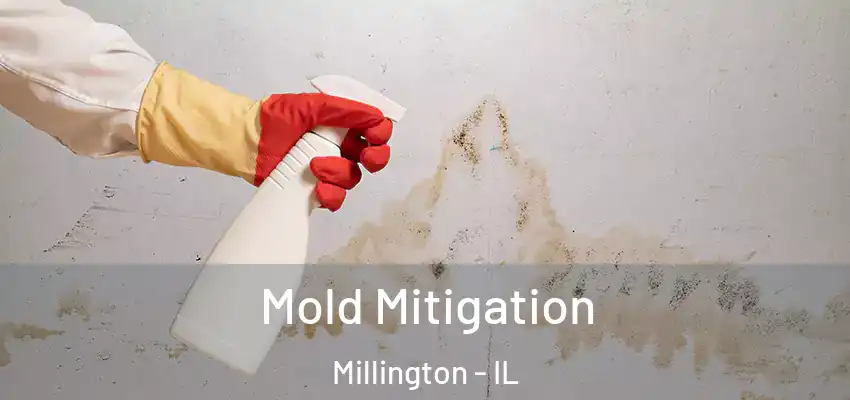  Mold Mitigation Millington - IL