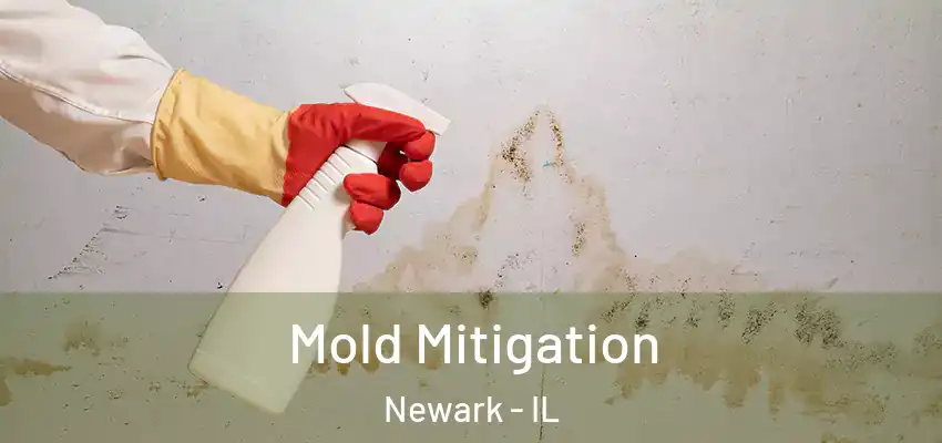  Mold Mitigation Newark - IL