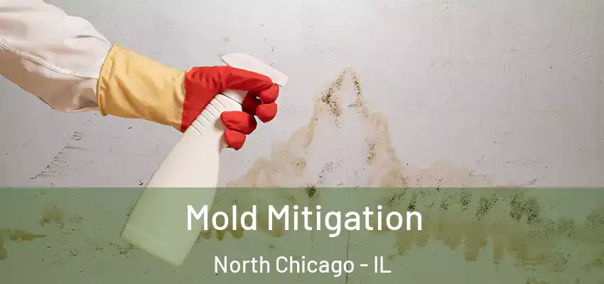  Mold Mitigation North Chicago - IL