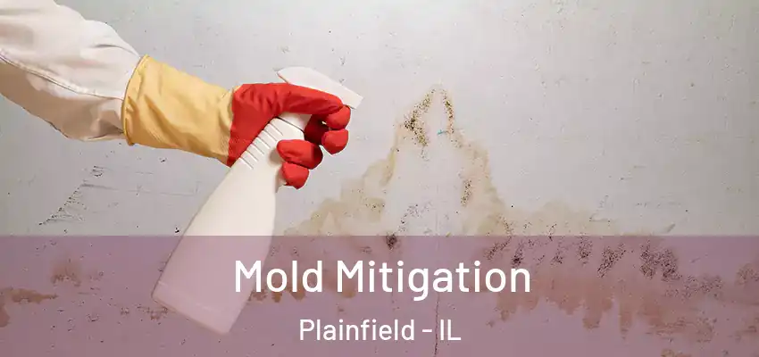  Mold Mitigation Plainfield - IL
