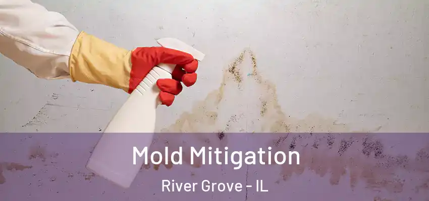  Mold Mitigation River Grove - IL