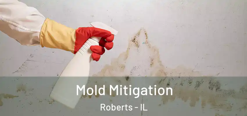  Mold Mitigation Roberts - IL