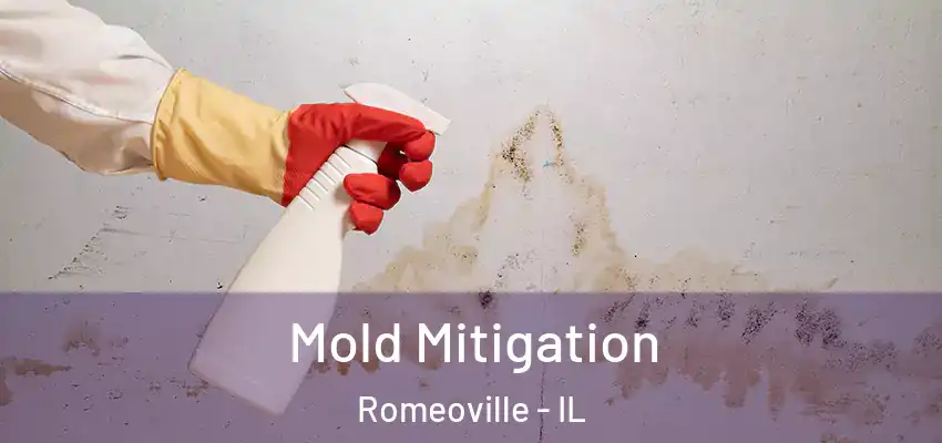  Mold Mitigation Romeoville - IL