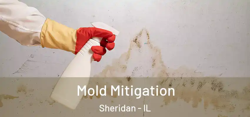  Mold Mitigation Sheridan - IL