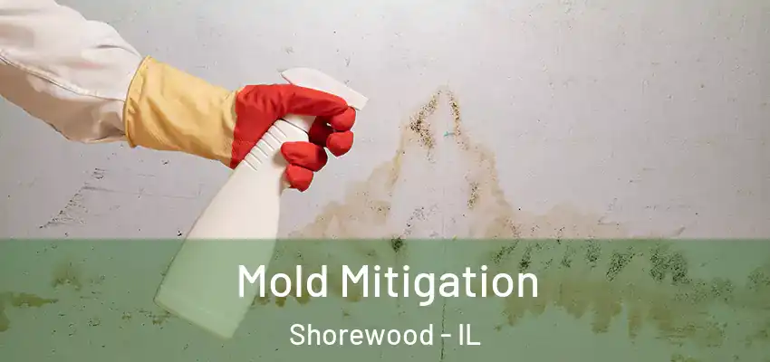 Mold Mitigation Shorewood - IL