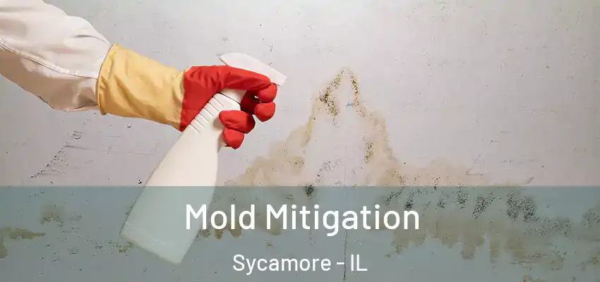  Mold Mitigation Sycamore - IL