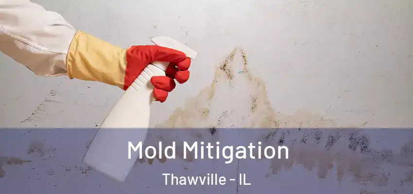  Mold Mitigation Thawville - IL